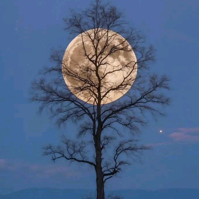 آهنگ جدید  نمیاد هیچکی ولی منتظرم من